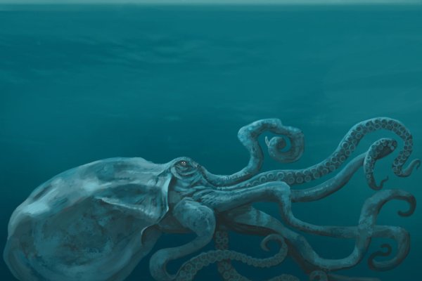 Кракен дарк сайт