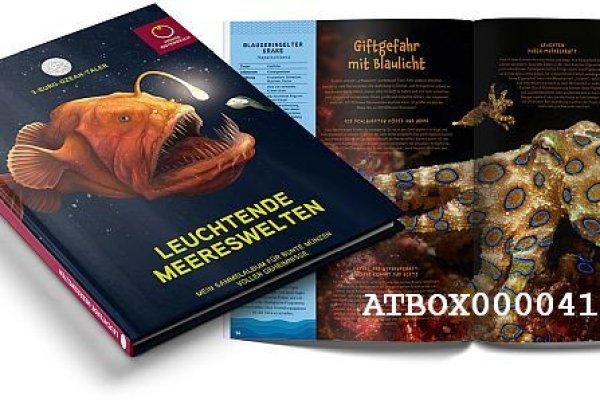 Рабочее зеркало кракен