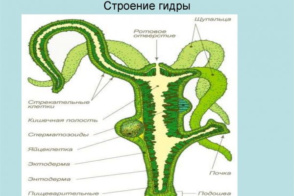 Зайти на кракен рабочее зеркало