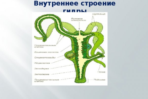 Кракен сайт зеркало рабочее