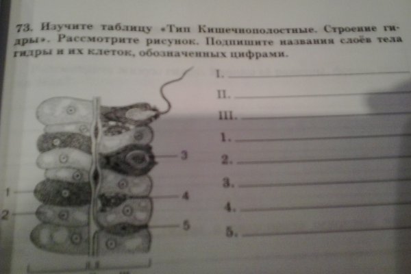 Ссылка на кракен оригинал
