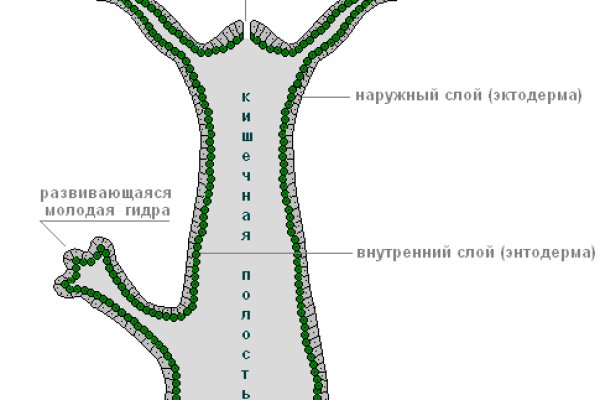 Kraken ссылка tor официальный сайт