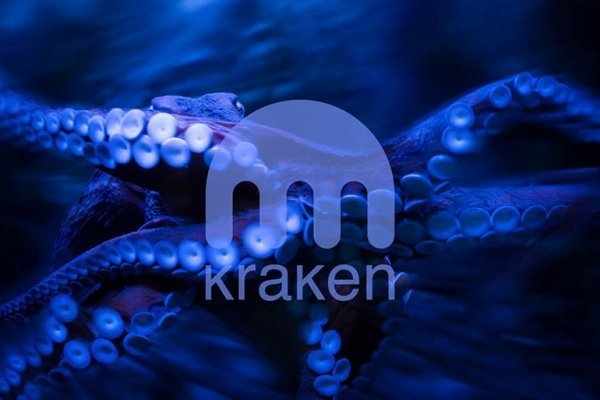 Kraken cc зеркало kr2web in